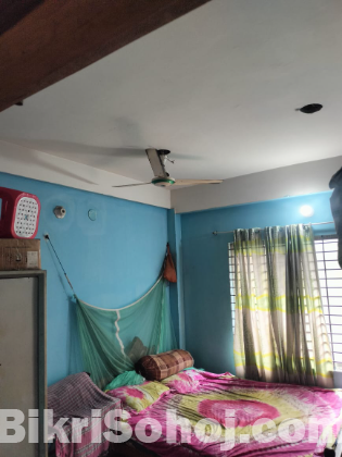 মোহাম্মদপুরের প্রাণকেন্দ্রে,